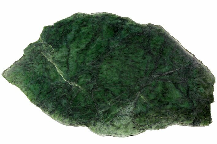 Polished Canadian Jade (Nephrite) Slab - British Colombia #117644